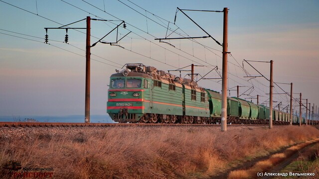 В августе сократились перевозки зерна в порты Одесской области